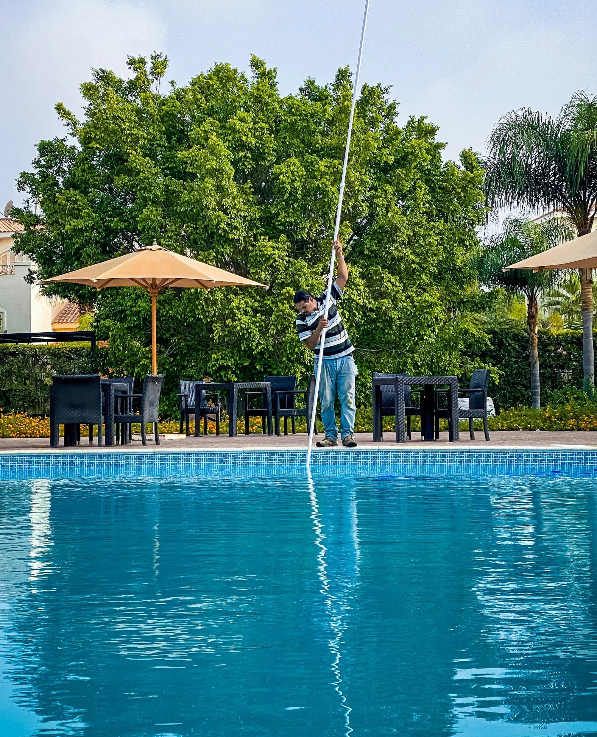 Expert Pool Maintenance Services in Forest Hill, MD